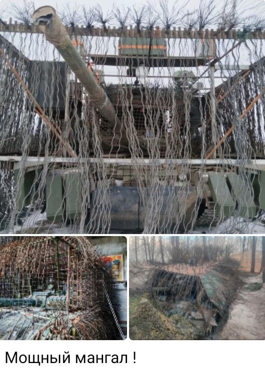 photo 2026 04 20 02 13 16