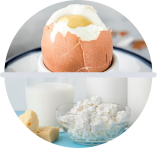 Яйца и молочные продукты