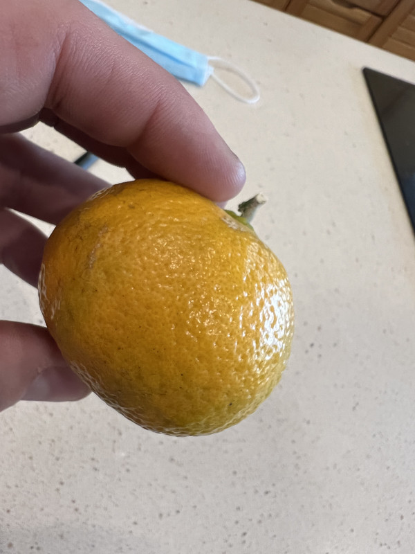 1AAC8207-A0C7-43FC-8CF0-6E26326D437E