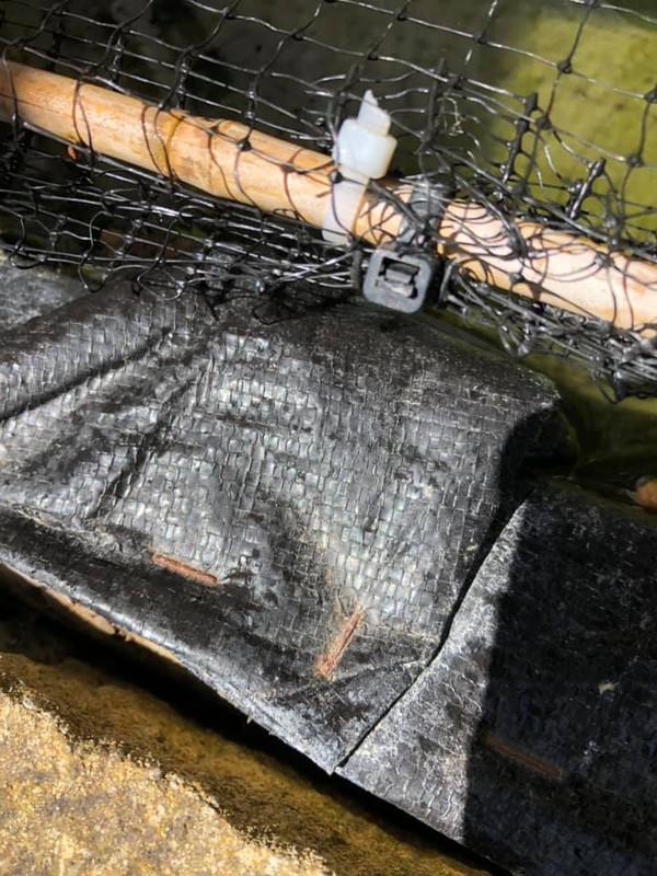 99427396_10158315802182457_2473281119542312960_n