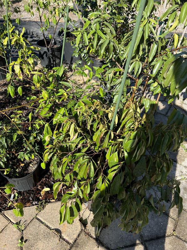 BAFD8453-BE11-489D-9D34-0CCBE61AD047