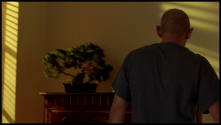 [Image: zlz9yz5g32cx.png]