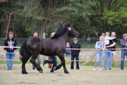 IMG-7314-wynik