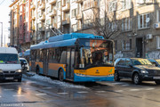 IMG-3005
