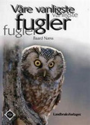 vare-vanligste-fugler.jpg