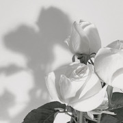 2021-12-23 00.42.07 2734928686580330463_436527041