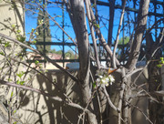 IMG-20260312-160652215-HDR