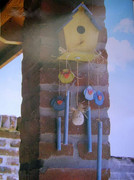26