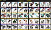 Screenshot-2026-06-27-134751