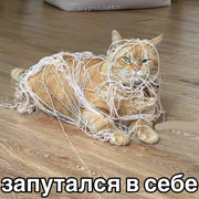 bcec4561c86ef741acaa4236b0258cd1.jpg