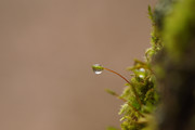 DSC04172
