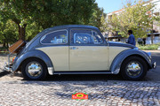 IMG-3905