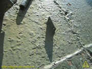 IMG-5649