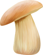 Pumpkinfairykitpudnmushroomss3