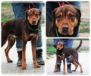 Be-Funky-collage-20.jpg&key=39aafaa754d2