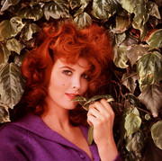 tina-louise-c55