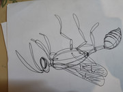 IMG-20240228-132236039