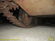 IMG-6009