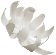 Winter-White-Elements-196