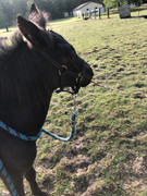 FD69A525-7961-4FA9-B044-2B9F71D2BF58