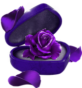 MVDLavender-Love-030