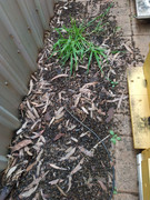 photo_2020-08-26_17-11-42