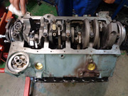 [Immagine: 004-12.jpg]