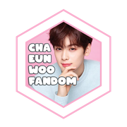 badge08chaeunwoofandom