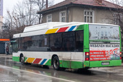 IMG-4953