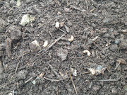 Erdproduktion und Zubereitung 2015  (106)