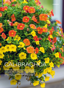 Movie cover image