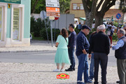 IMG-6558