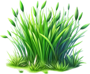 DWD-Alexia-Element-60