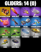 gliders-comp
