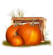 TADD_elements_Shimmer_Fall_7