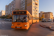 IMG-1044