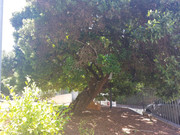 IMG-20250122-WA0277