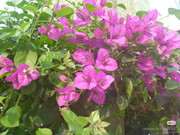 photo 8 2026 01 03 21 33 01