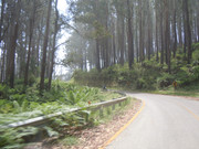 DSCN2279