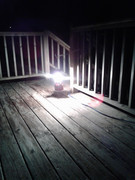 1543985654033523738866