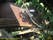 IMG-0459