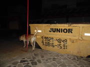 44.3.night dwellers III