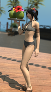 ffxiv_20250815_195329_217