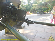 DSCN6766