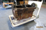 IMG-3121.jpg