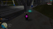IMG-6416