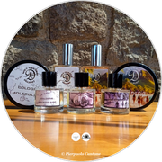 Postino20240426_WetShaverDelight1