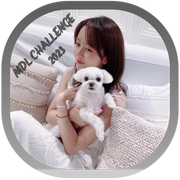 KSH Devy&#039;s Gray 2