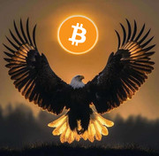 btc-hawk