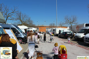 IMG-4481